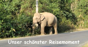 schoenster-reisemoment