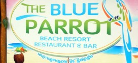 the-blue-parrot-koh-phangan-01